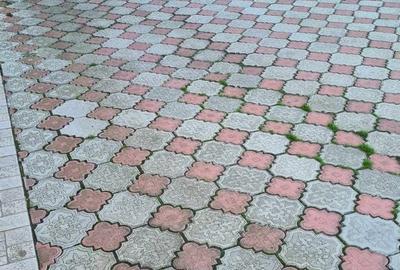 Casă cu 4 camere cu Teren 600 Mp în Central - 13