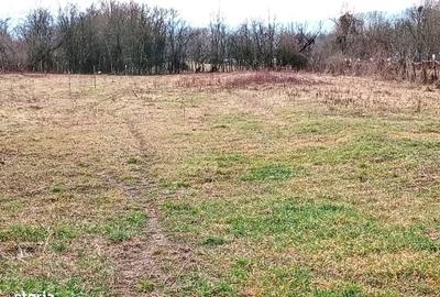 Spațiu comercial, în Pescari