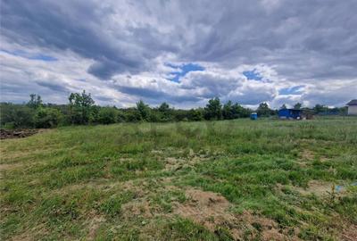 RECO teren intravilan Saldabagiu de Munte - 1