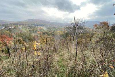 Teren de 787 mp, în Central - 4