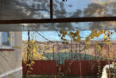 Casă cu 3 camere în Vadu Crișului - 2