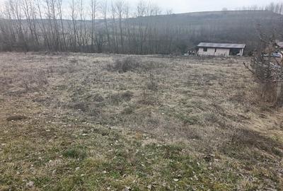 Teren Construcții intravilan de 675 mp, în Ciugud - 3