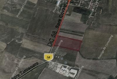 Teren de 30000 mp, în Sânandrei