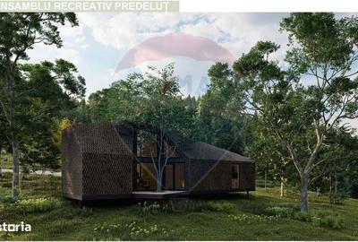 Teren de 24253 mp, în Bran - 9