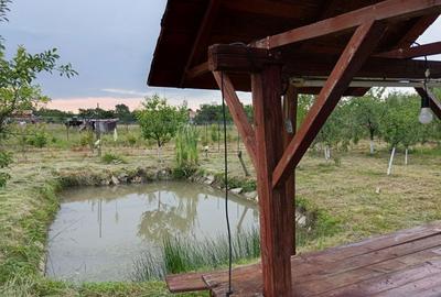 Casă cu 4 camere cu Teren 3000 Mp în Cermei - 7