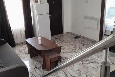 Casă cu 1 camere cu Teren 1000 Mp în Secăria - 7