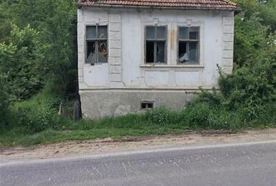 Domeniu verde autentic,  +5.000mp, front la DJ, Valcele, Brasov -- Covasna - 4