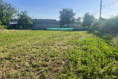 Teren intravilan 4.200 mp Murighiol - 6