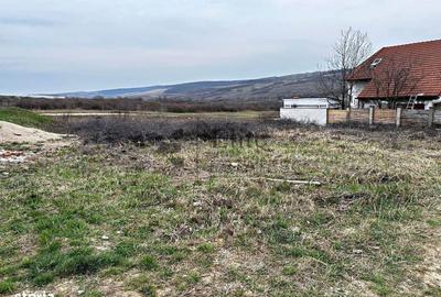 Teren de 504 mp, în Paleu - 1