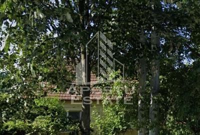 Casă veche în Timișoara  cu teren generos 806 mp - 1