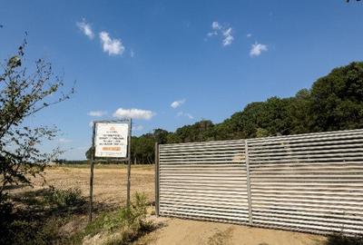 Ideal Forest -vindem LOT 31 - 716 m2 - 10