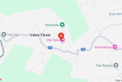 Casă individuală cu 5 camere cu Teren 980 Mp în Valea Târsei - 1