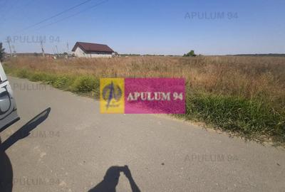 Teren Construcții intravilan de 1300 mp, în 1 Decembrie - 22