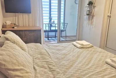 Garsonieră decomandată în Herăstrău - 4