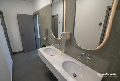 Birouri 216 mp Brancusi - 12