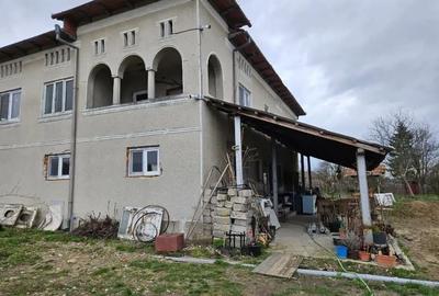 Casă cu Teren 3000 Mp în Sinești - 1