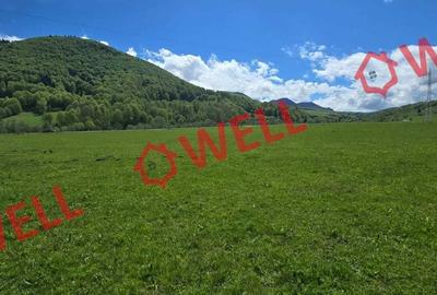 Teren de 5310 mp, în Vama Buzăului - 2