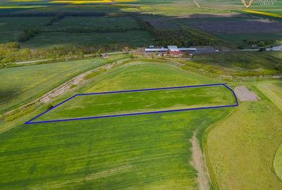 Teren agricol extravilan de 18000 mp, în Turnu - 4