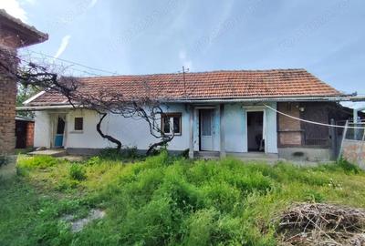 Casă cu 4 camere cu Teren 4122 Mp în Petid - 9