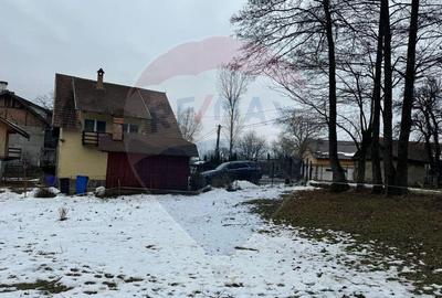 Teren Zarnesti /Bran/Predelut6 Strada Pe tarina Teren Zarnesti /Bran/Predelut6 Strada Pe tarina - 5