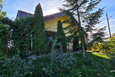 Casa caramida in Costesti - 16