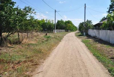 Casă cu 1 camere cu Teren 2832 Mp în Ciulnița - 4