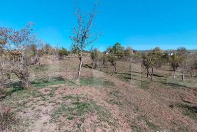 Teren de 7382 mp, în Central - 9