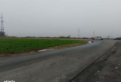 Spațiu comercial, în Lumina - 2