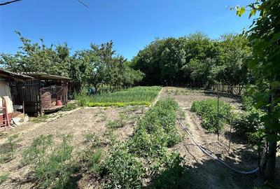 Casă individuală cu 2 camere cu Teren 1501 Mp în Birda - 22