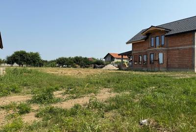 Inchiriem viitorul pe metru patrat, teren 800 mp, intravilan-Peciu Nou - 2