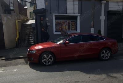 Spatiu comercial mic, 16 mp, in centru, la strada circulata, langa Parcul Carol - 6