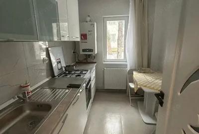 Apartament cu 2 camere semidecomandat în Podu Roș - 8