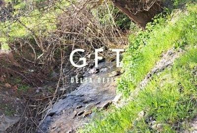 Teren extravilan de vanzare, Bistrita Bargaului- 10 minute de Colibita - 4