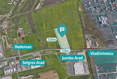 Teren de 55.340 mp, vis-a-vis de Jumbo, Arad Teren de 55.340 mp, vis-a-vis de Jumbo, Arad - 1