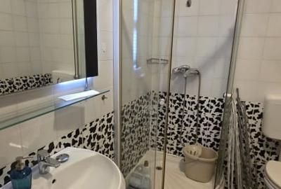 Bucurestii Noi inchiriere imobil singur curte - 14