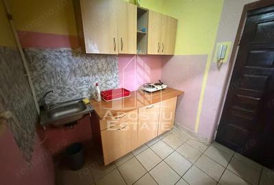 Apartament cu 1 camera, zona Buziasului - 2