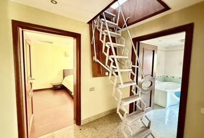 Duplex 14 camere Pantelimon Cernica 864 mp desfasurati - 37