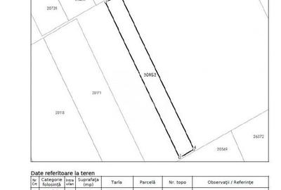 Teren de 80000 mp, în Vasilați - 10