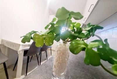 Tur 3D! Eleganta in cromatica de toamna, 2 bai, etaj 1, Bartolomeu, Brasov - 6