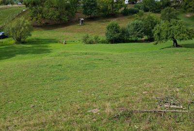 Teren de 27000 mp, în Rebrișoara - 2