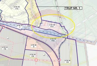 Teren Construcții intravilan de 44200 mp, în Vințu de Jos - 15