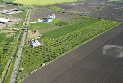 Teren de 24200 mp, în Variașu Mare - 16