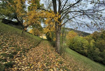 REZERVAT - TEREN BRAN - OPORTUNITATE INVESTITIE REZERVAT - TEREN BRAN - OPORTUNITATE INVESTITIE - 3