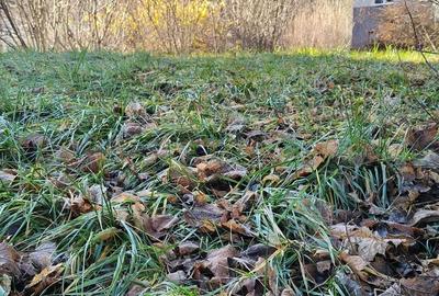 Teren de 800 mp, în Ultracentral