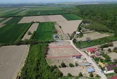 Teren Construcții intravilan de 1660 mp, în Rădulești - 5