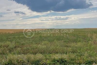 Teren agricol extravilan de 7200 mp, în Horlești (Rediu) - 1