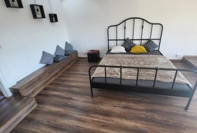 APARTAMENT 3 CAMERE-PIPERA-IANCU NICOLAE-CENTRALA-PARCARE-2 BAI - 12