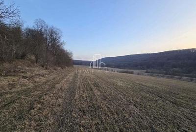 Teren extravilan 28.800 Mp , zona Rora, Sighisoara - 3