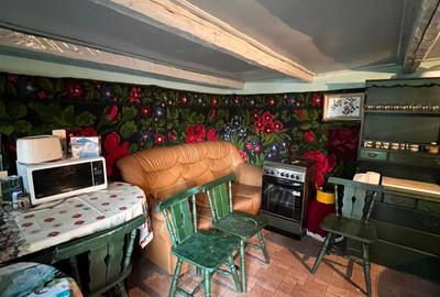 Casa de vanzare Soveja-Vrancea - 29