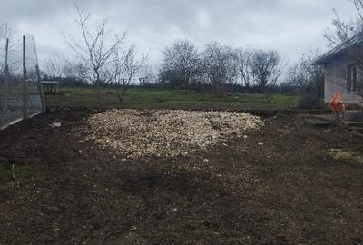 Casă individuală cu 2 camere cu Teren 2500 Mp în Dumbrăveni - 3